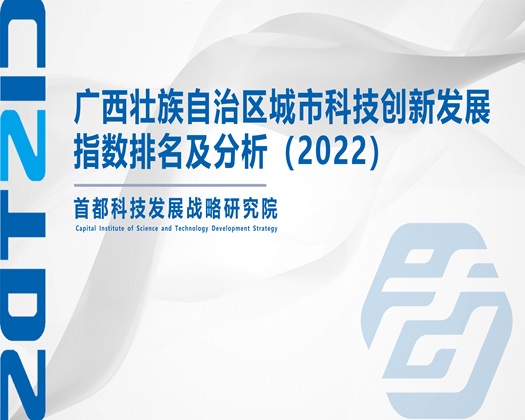 女生鸡鸡被操【成果发布】广西壮族自治区城市科技创新发展指数排名及分析（2022）